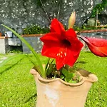 Girasole فندق مبيت وإفطار Torraca