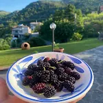 فندق مبيت وإفطار Girasole