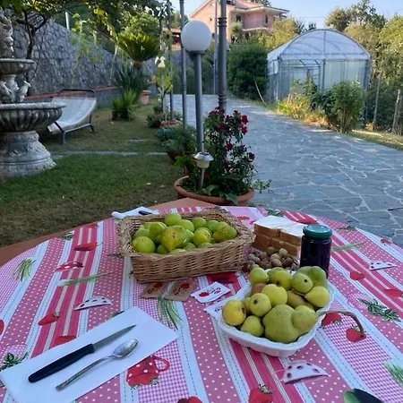 Bed & Breakfast Girasole Torraca