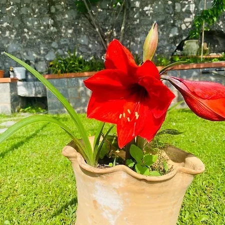 Girasole Bed & Breakfast Torraca