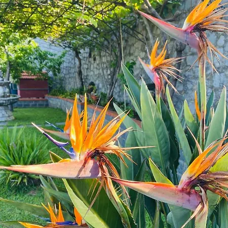 Bed & Breakfast Girasole Torraca