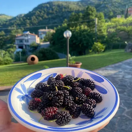 Bed & Breakfast Girasole