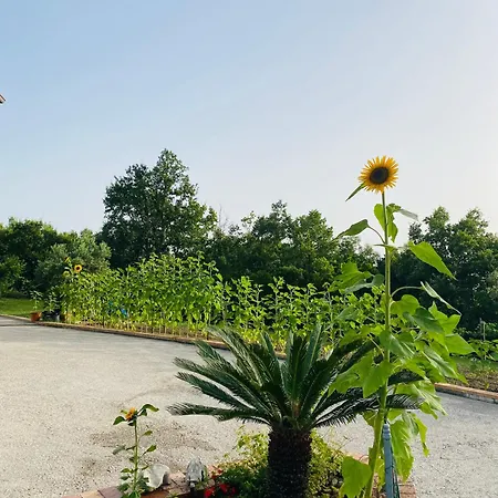 فندق مبيت وإفطار Girasole Torraca