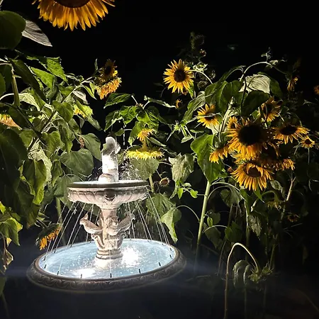 Girasole Bed & Breakfast Torraca