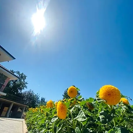 Girasole Bed & Breakfast 3*