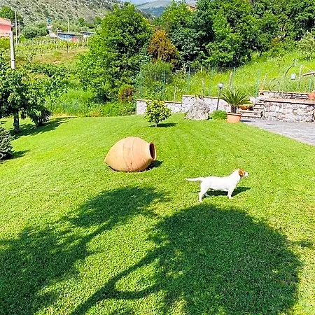 Bed & Breakfast Girasole Torraca