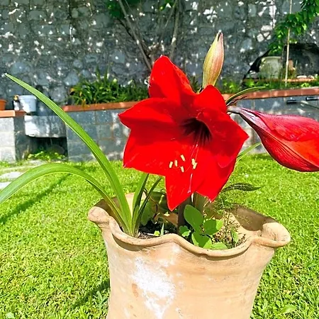 Girasole Bed & Breakfast