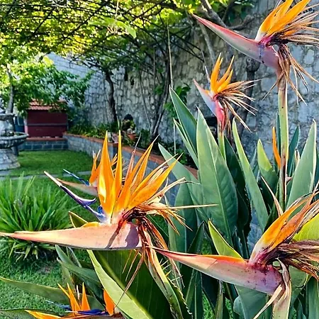 Bed & Breakfast Girasole Torraca