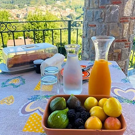 Girasole Bed & Breakfast